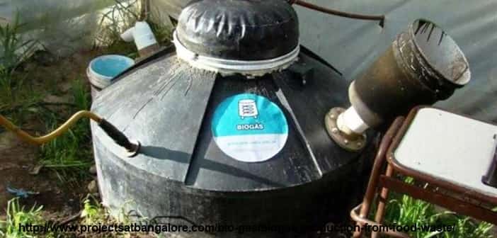 Biogas Production from Food Waste
