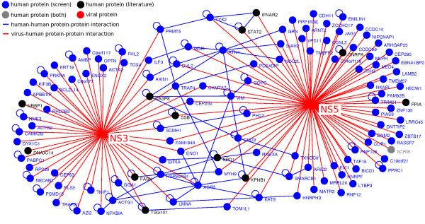 NS2 NS3 networking simulation project workstation 