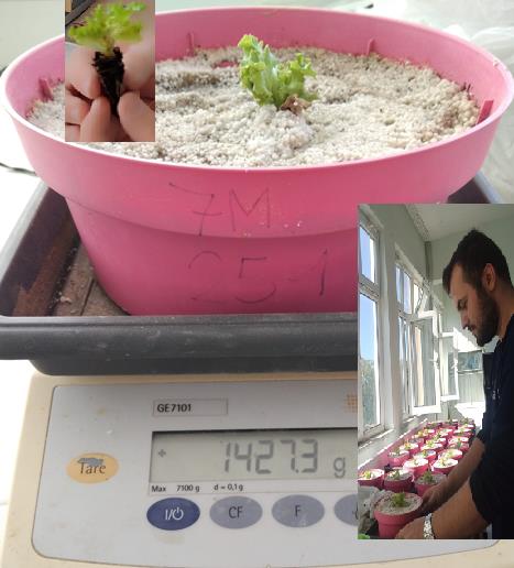 arduino-drip-irrigation Diagram