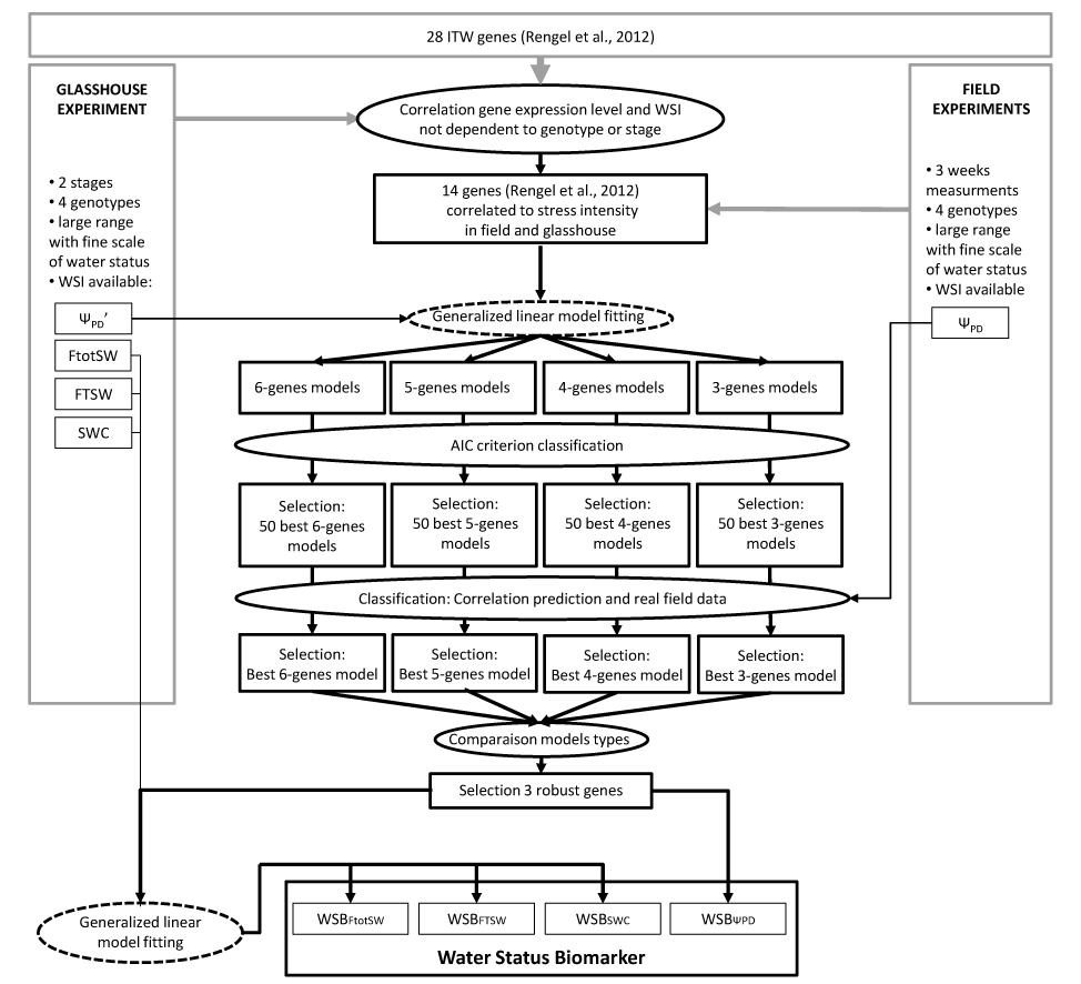 arduino-plant-watering-system Diagram