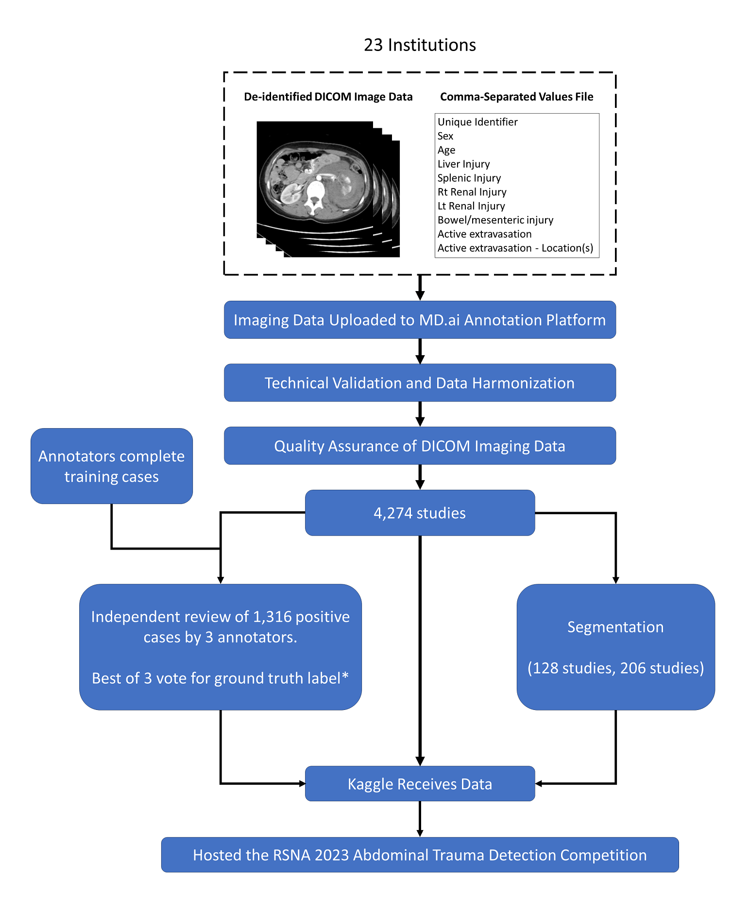 ansys-abdominal-injury-model Diagram