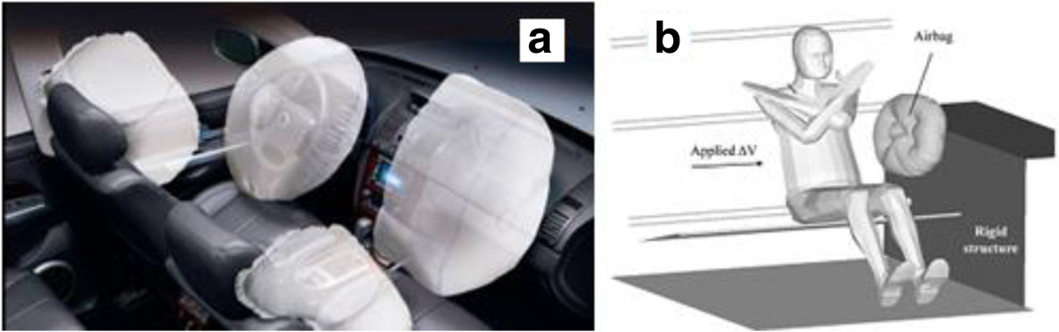 ansys-airbag-injury-simulation Diagram