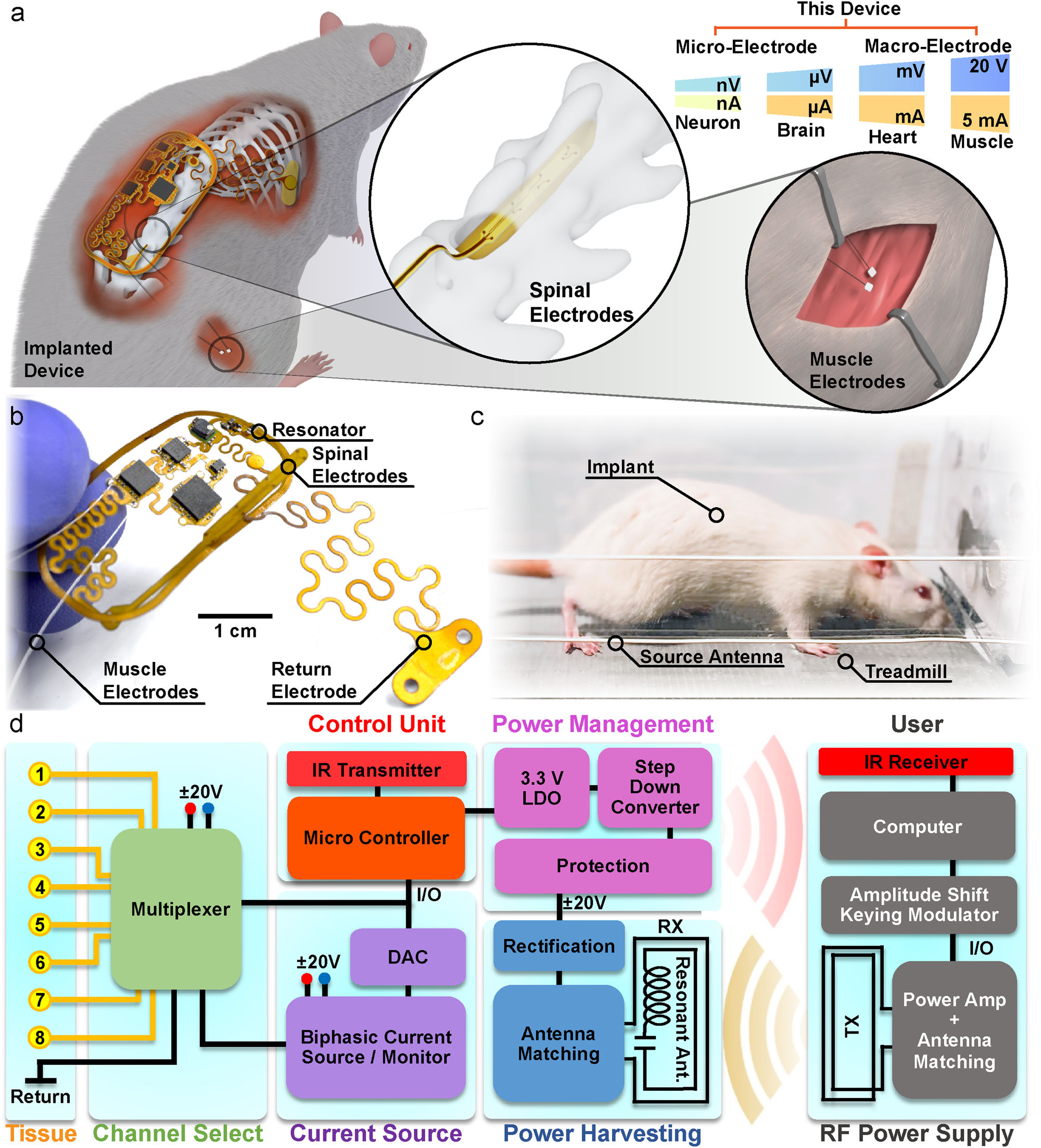 ansys-battery-lifetime-implant Diagram