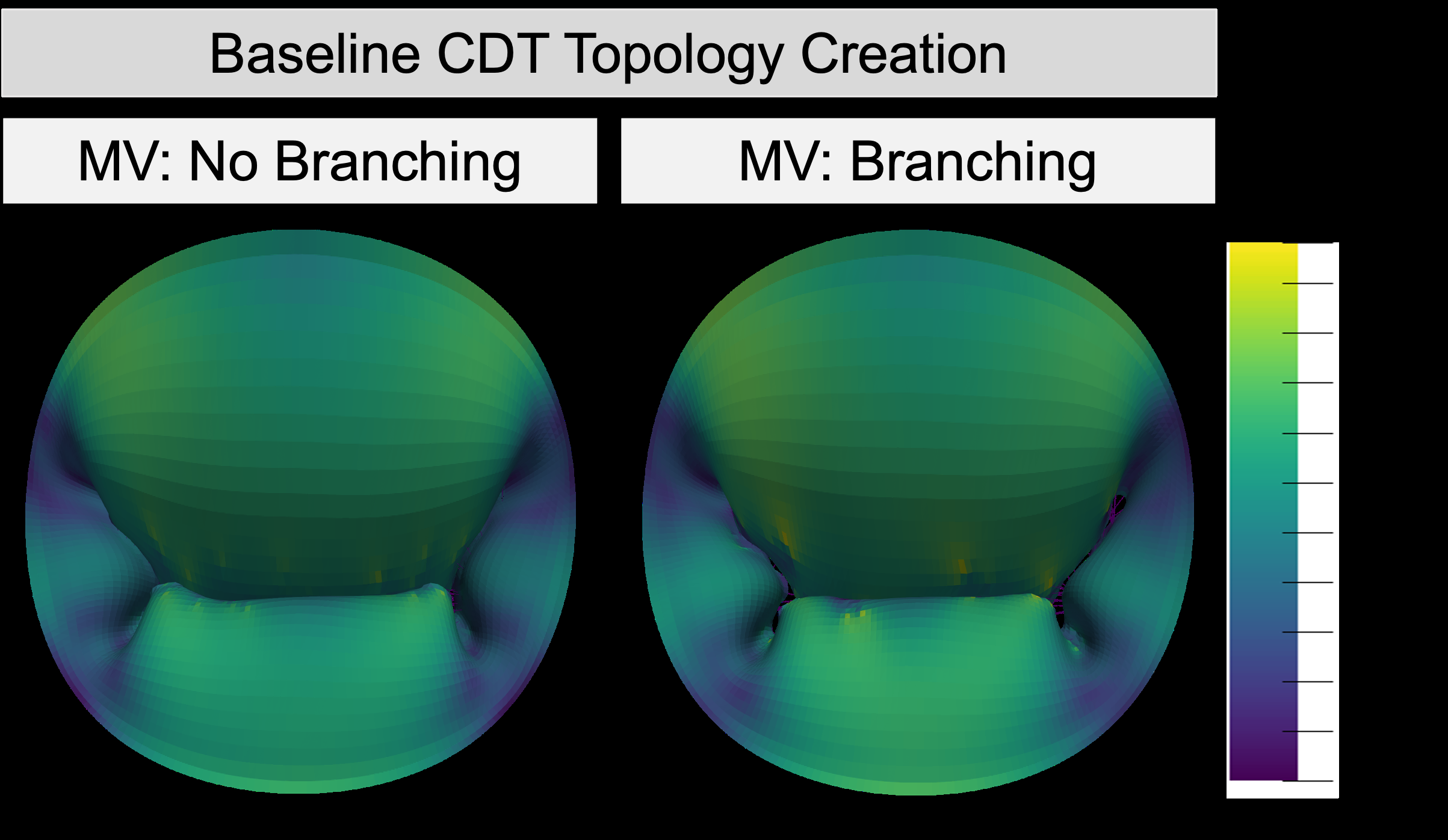 ansys-chordae-tendineae-model Diagram
