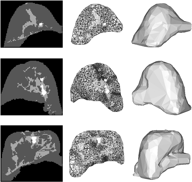 ansys-medical-imaging-processing Diagram