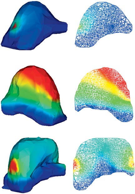 ansys-medical-imaging-processing Diagram