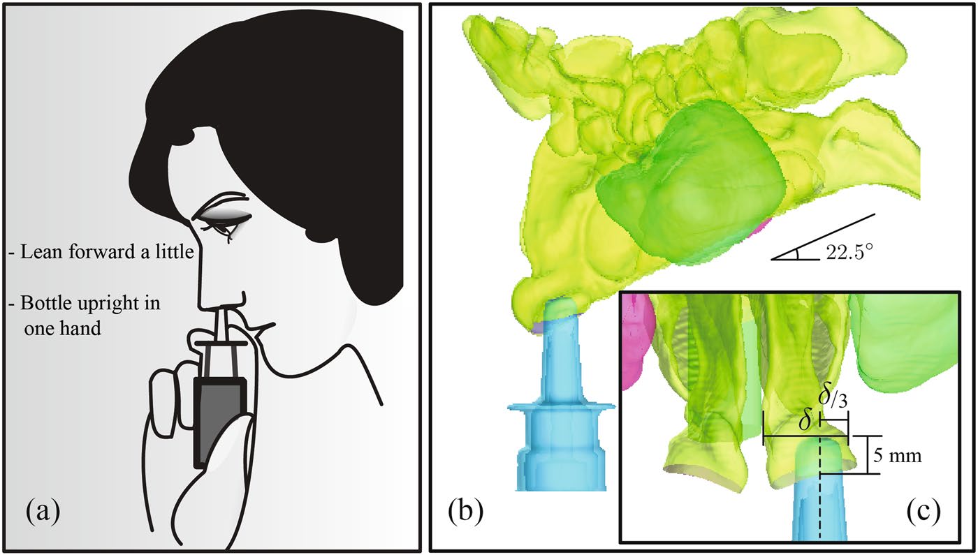ansys-nebulizer-spray-simulation Diagram