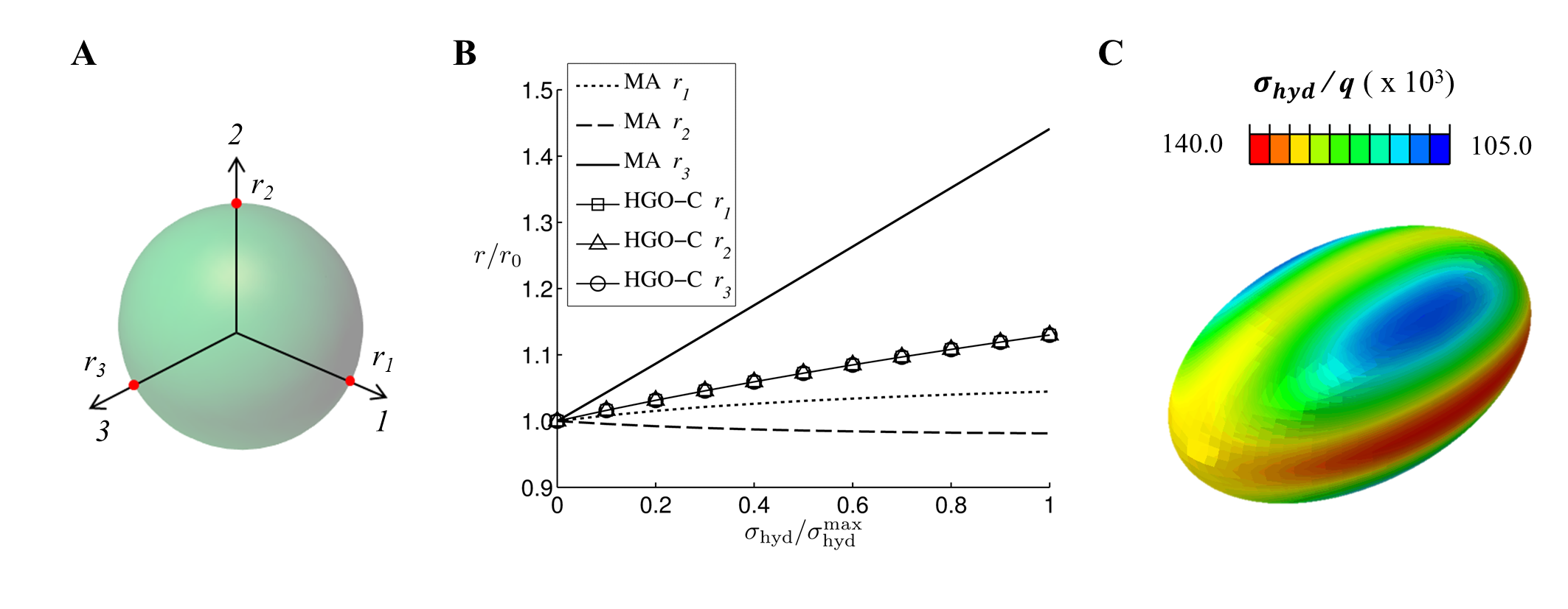 ansys-ogden-model-tissue Diagram