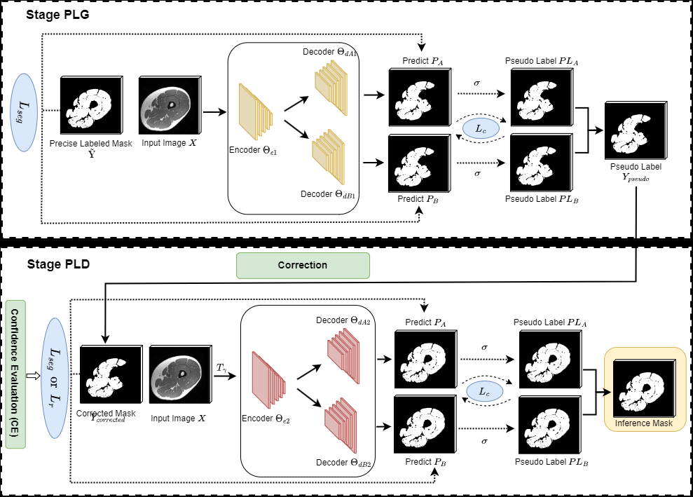 ansys-papillary-muscle-model Diagram