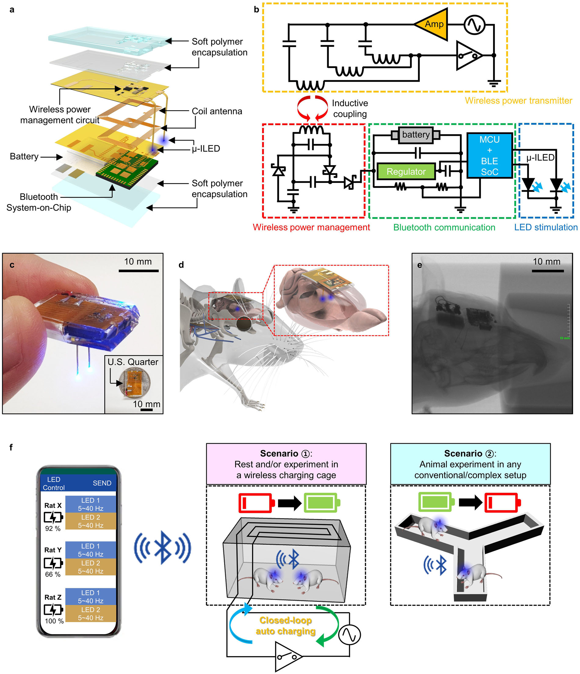 ansys-wireless-power-implant Diagram