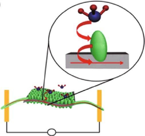 blood-gas-analyzer-sensor Diagram
