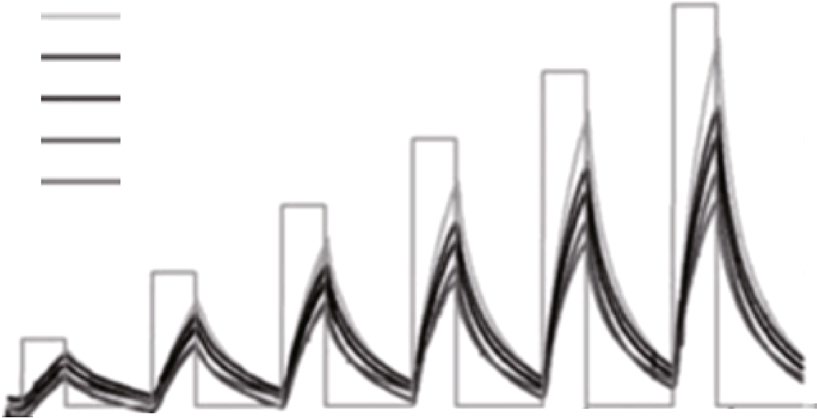 blood-gas-analyzer-sensor Diagram