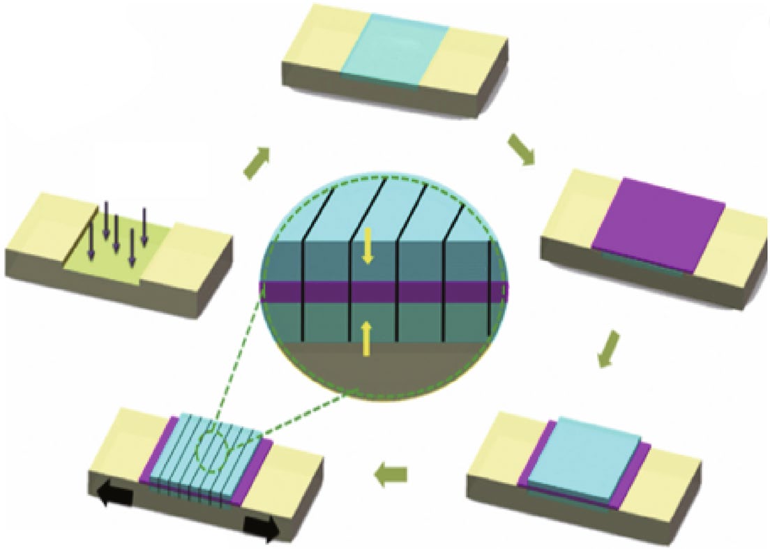 blood-gas-analyzer-sensor Diagram
