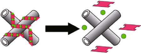 blood-gas-analyzer-sensor Diagram