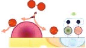 blood-gas-analyzer-sensor Diagram