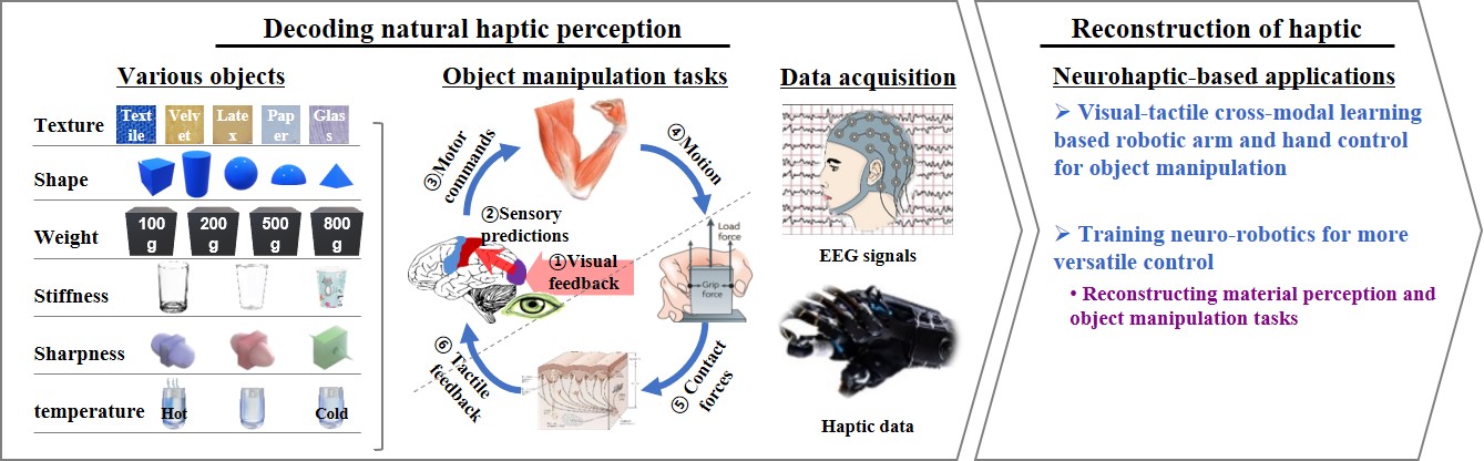brain-computer-interface-eeg Diagram