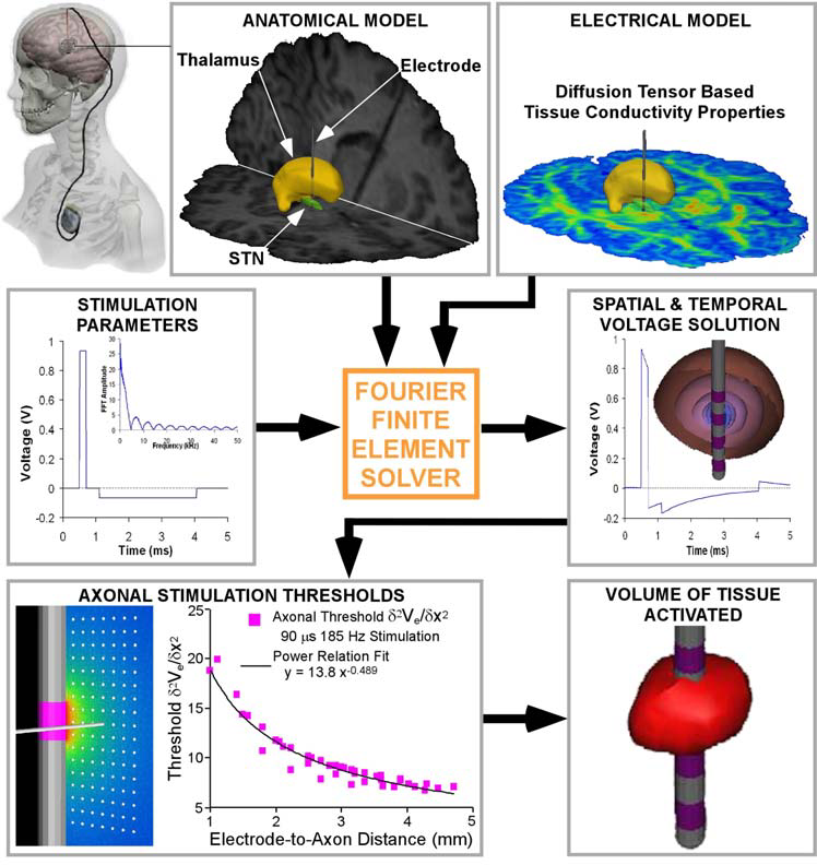comsol-diffusion-tensor-imaging Diagram