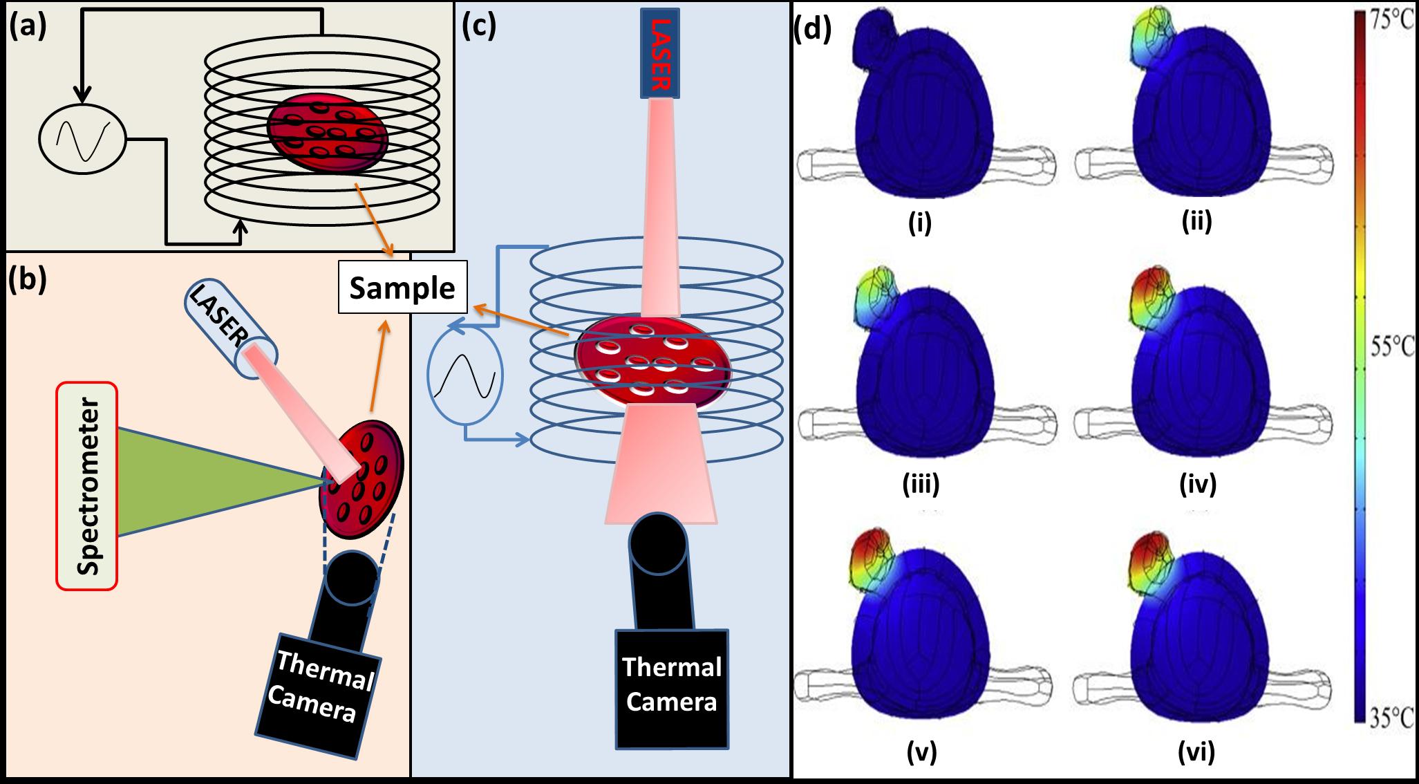 comsol-hyperthermia-treatment Diagram