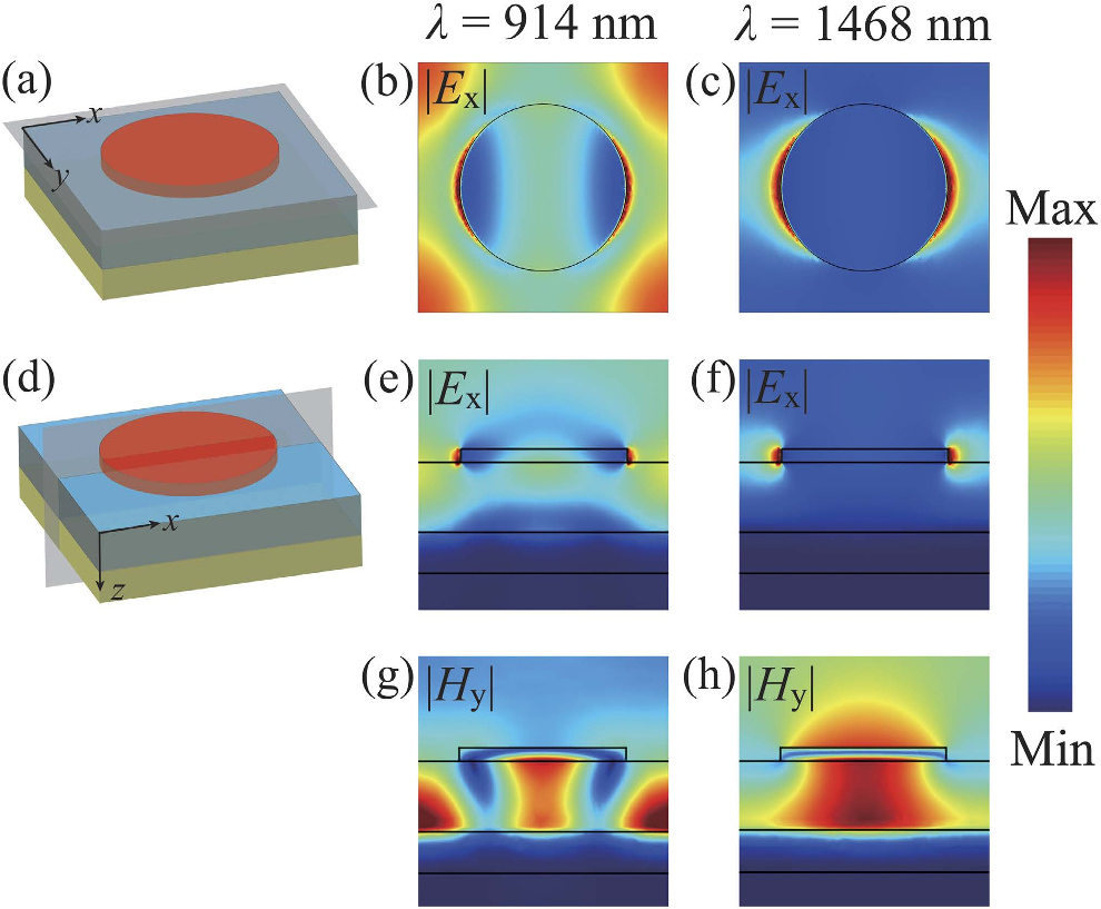 comsol-near-infrared-spectroscopy Diagram