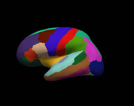 cortical-electrode-interface Diagram