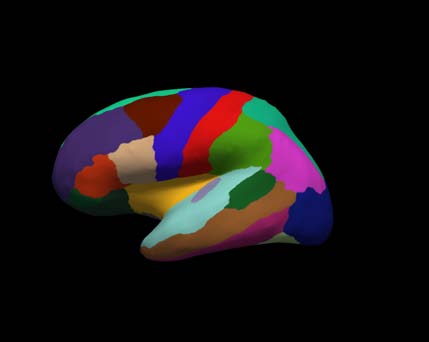cortical-electrode-interface Diagram