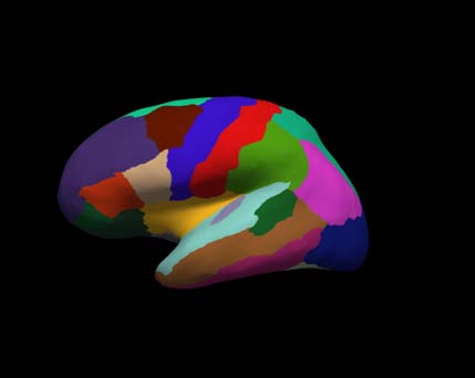 cortical-electrode-interface Diagram