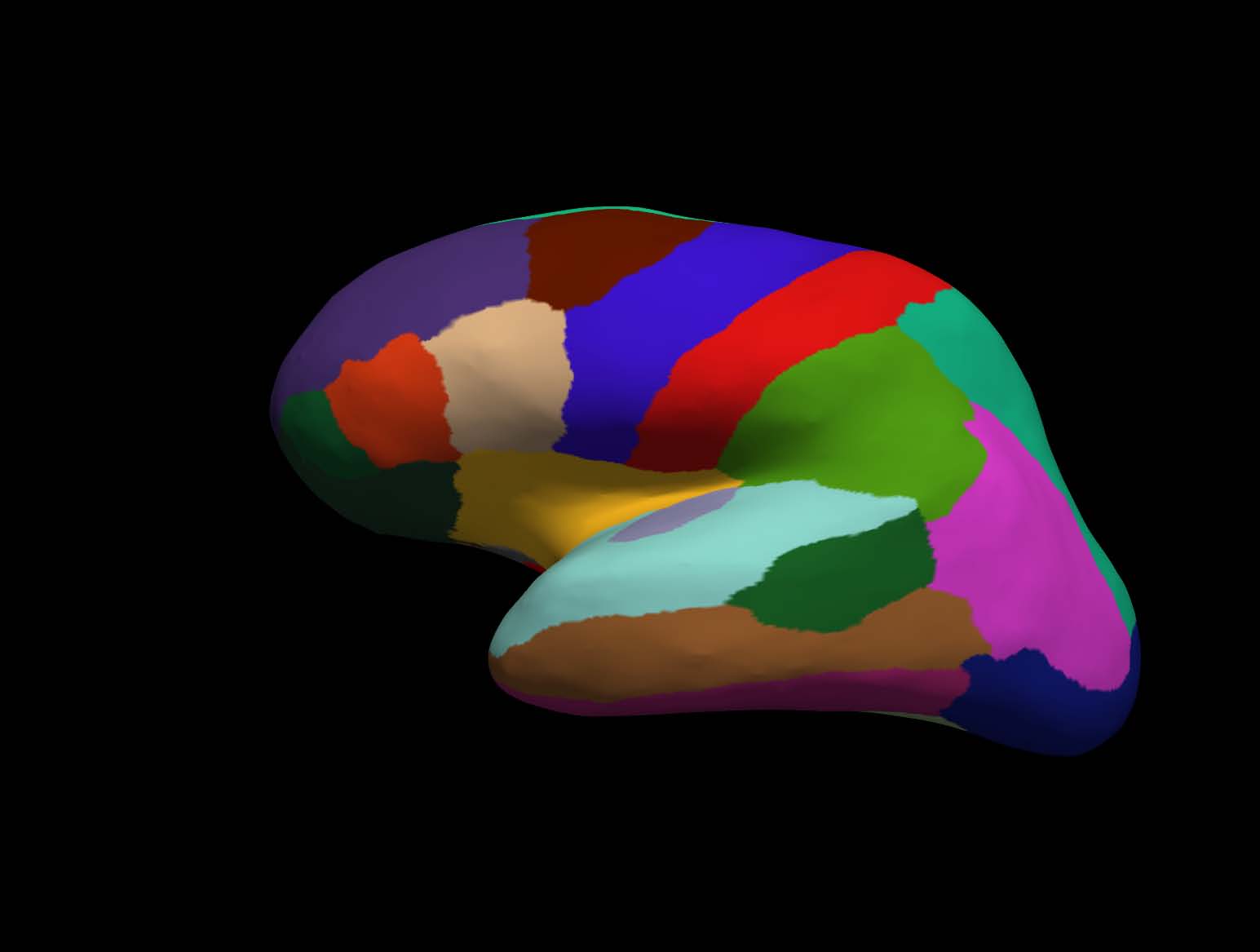cortical-electrode-interface Diagram