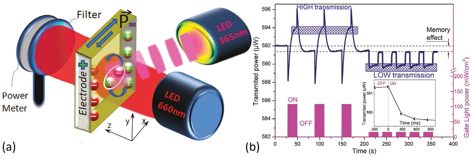 hemoglobin-sensor-optical Diagram