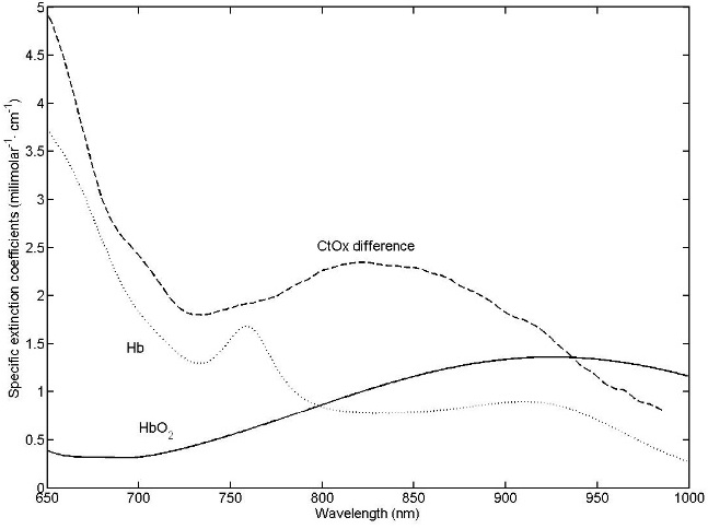 near-infrared-spectroscopy-brain Diagram