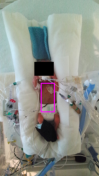 neonatal-vital-signs-monitor Diagram