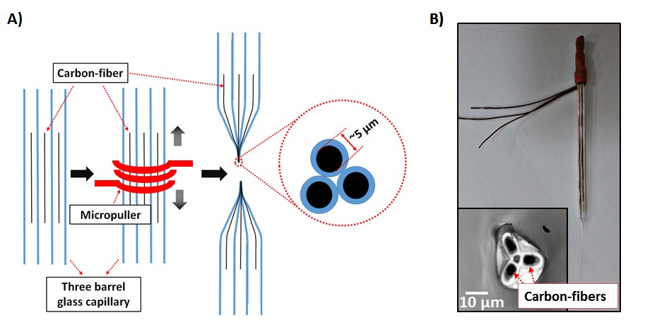 neural-recording-electrode-array Diagram