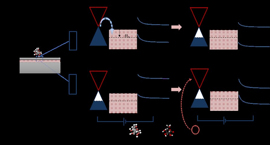 non-invasive-glucose-sensor Diagram