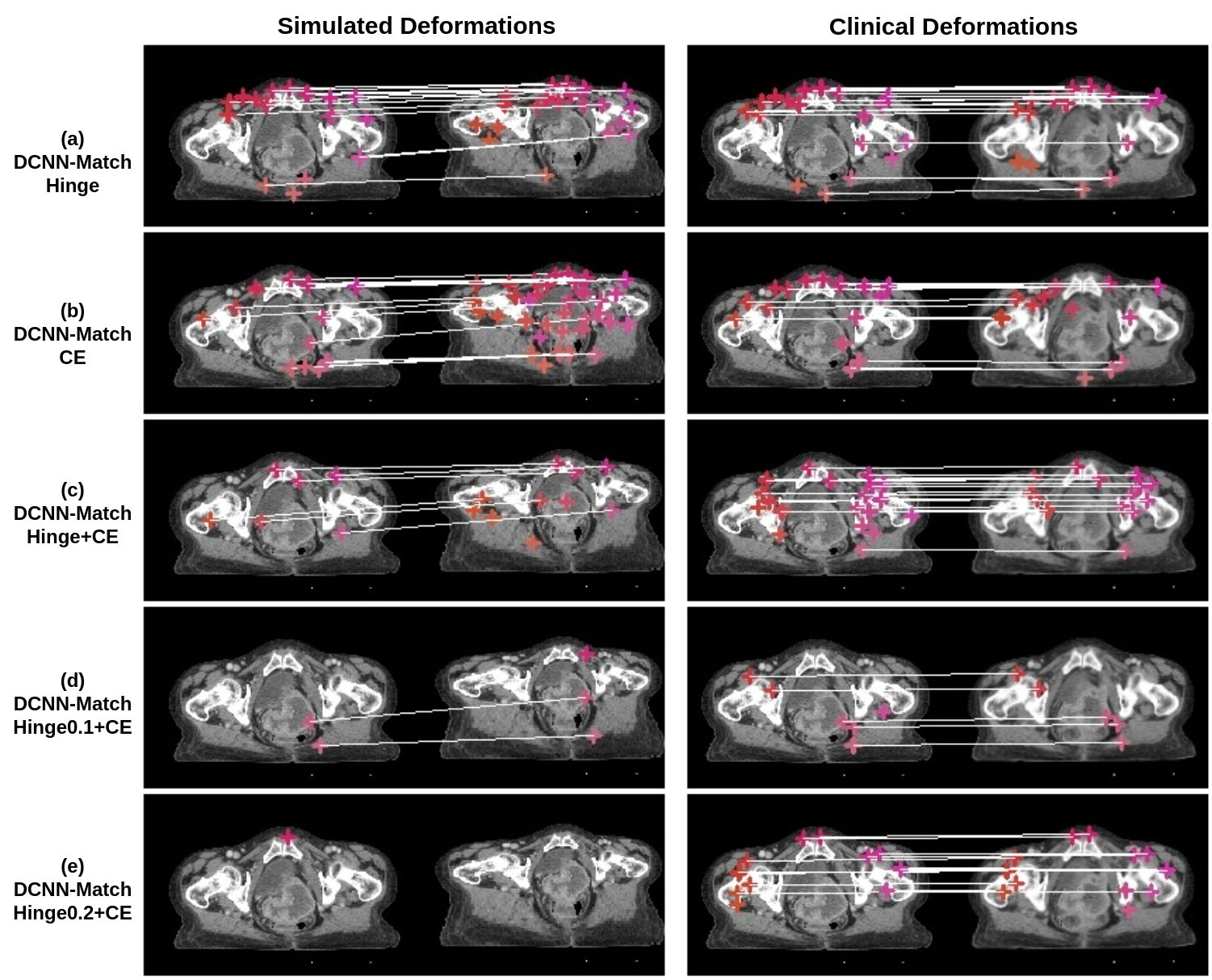 raspberry-pi-medical-imaging Diagram