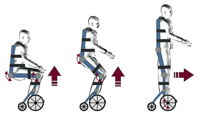 simulia-abaqus-exoskeleton Diagram