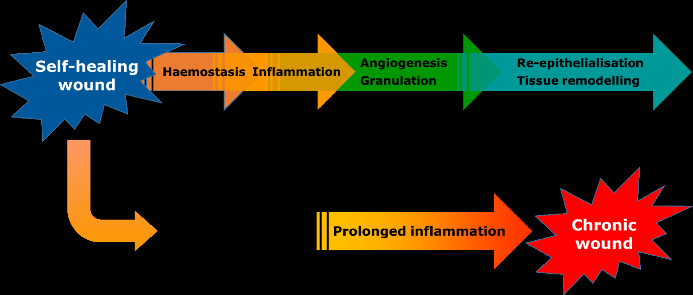 simulia-abaqus-wound-closure Diagram