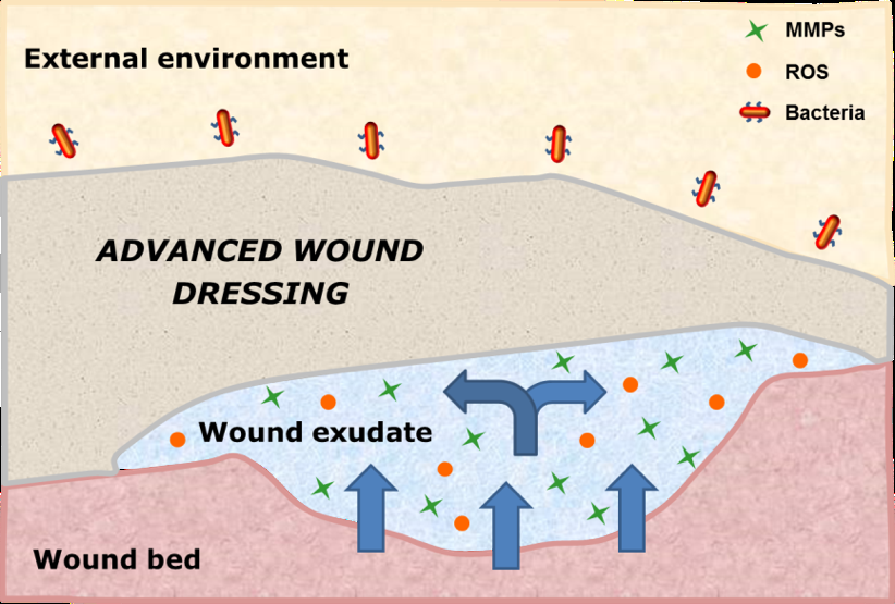 simulia-abaqus-wound-closure Diagram