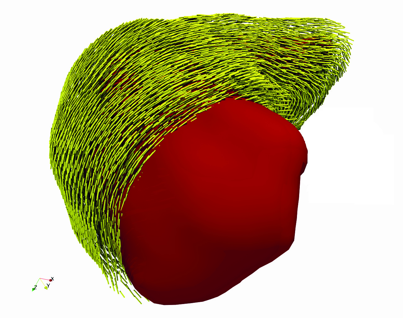 simulia-living-heart-electrophysiology Diagram
