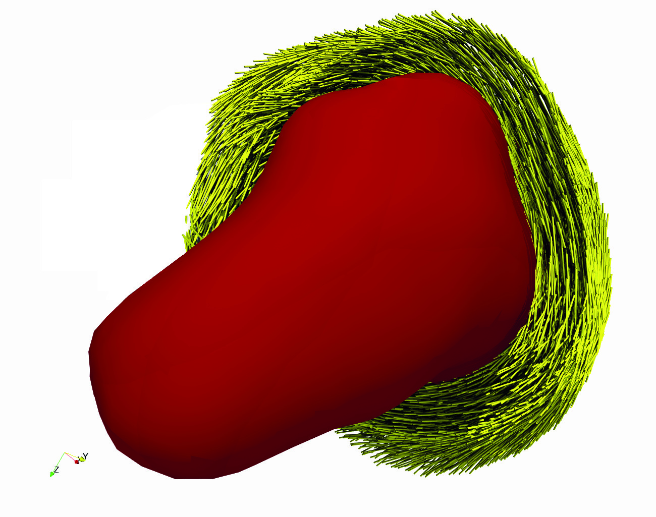simulia-living-heart-electrophysiology Diagram