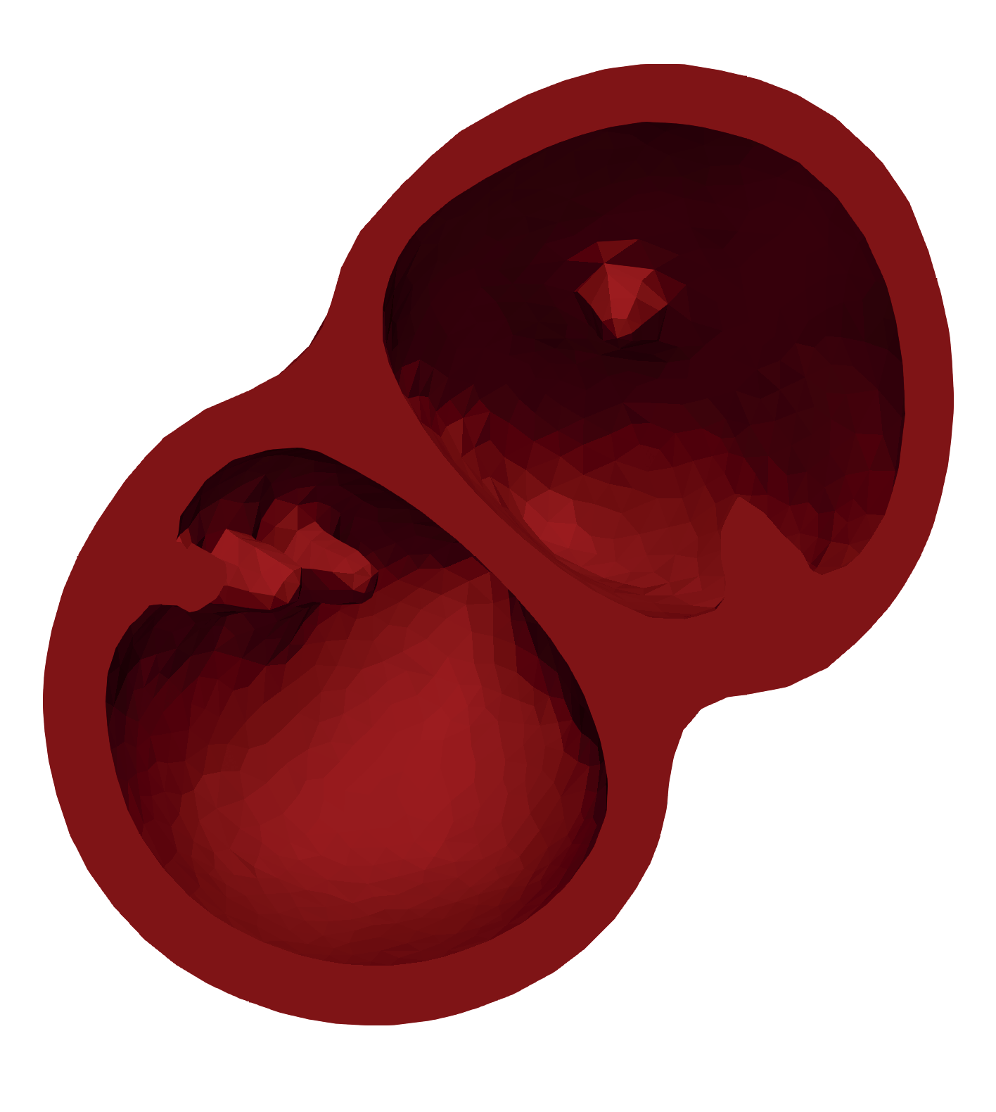simulia-living-heart-electrophysiology Diagram