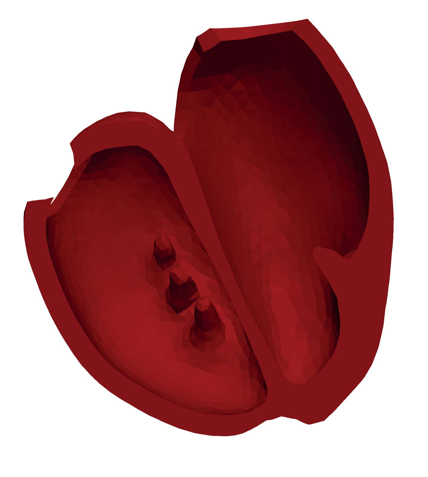 simulia-living-heart-electrophysiology Diagram