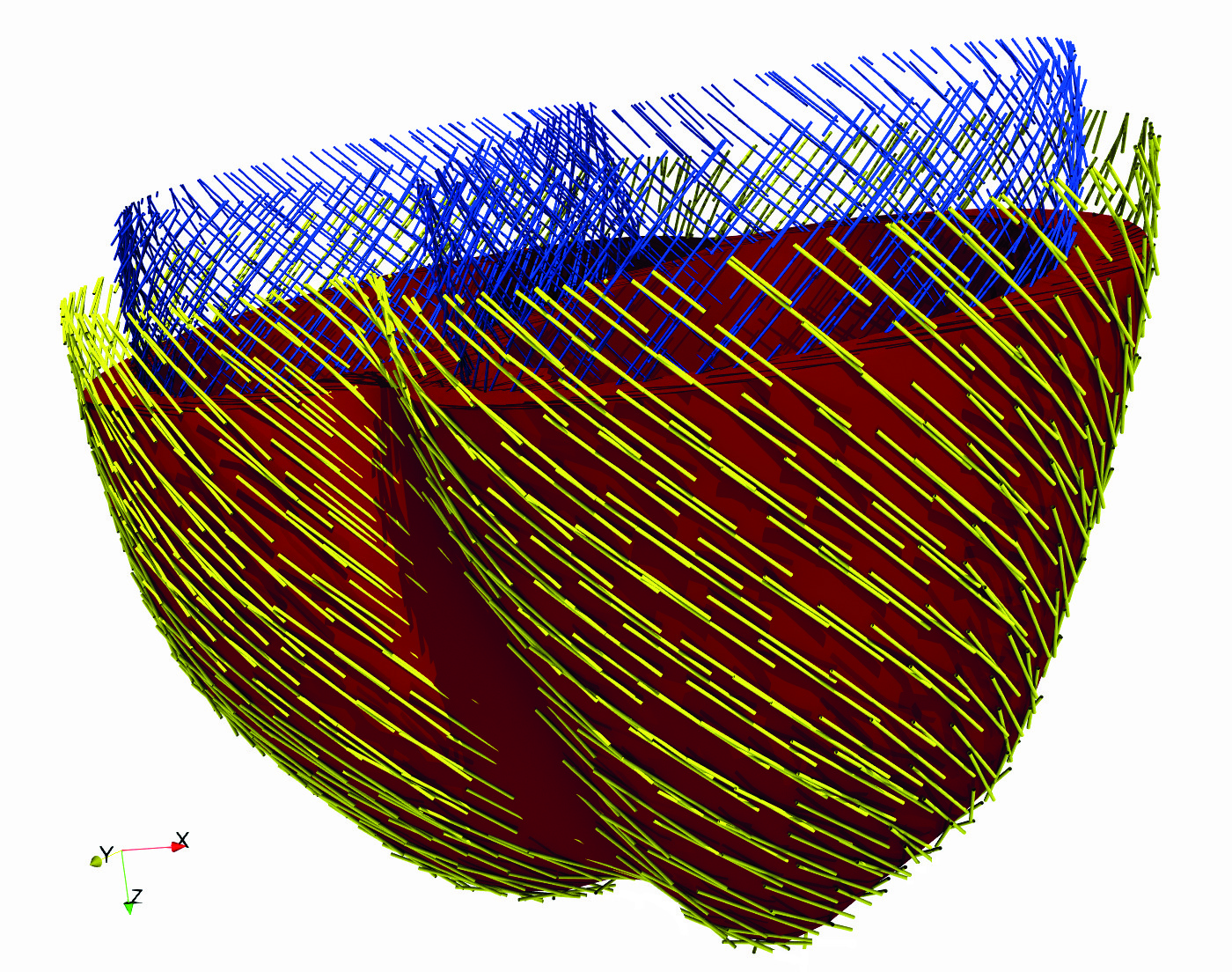 simulia-living-heart-electrophysiology Diagram