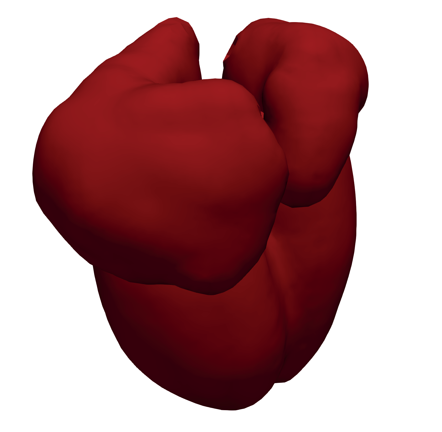 simulia-living-heart-electrophysiology Diagram