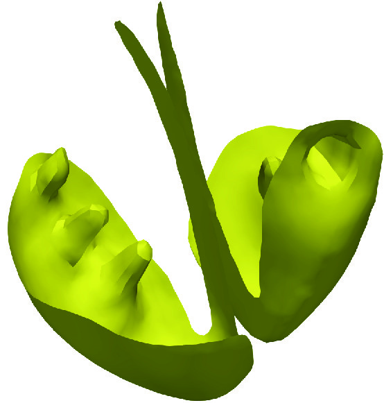 simulia-living-heart-electrophysiology Diagram