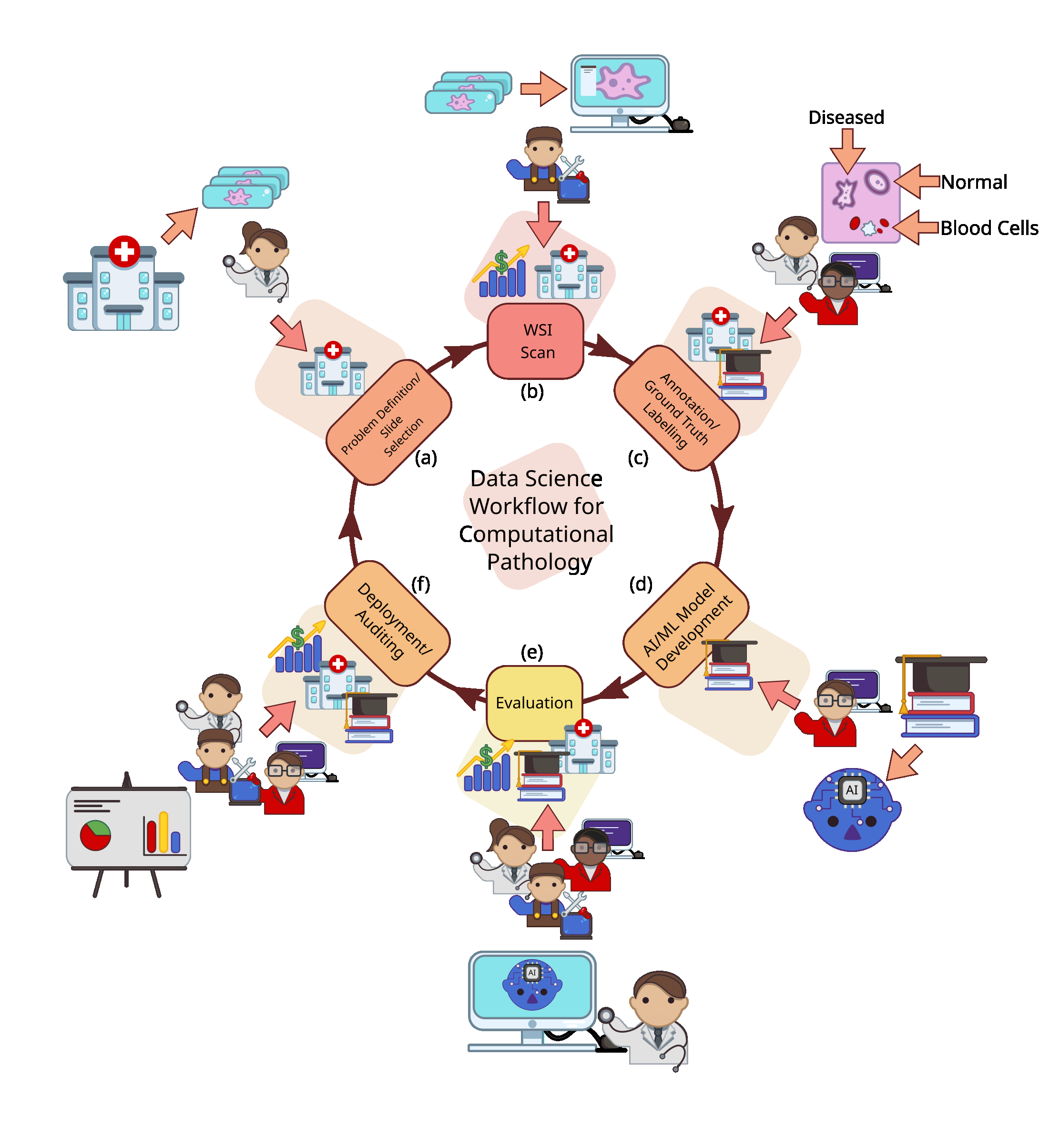 simulia-living-heart-pathology Diagram