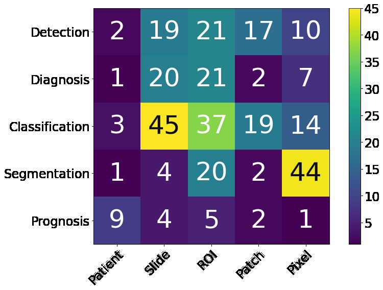 simulia-living-heart-pathology Diagram
