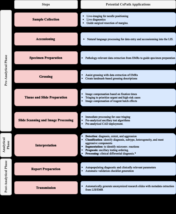 simulia-living-heart-pathology Diagram