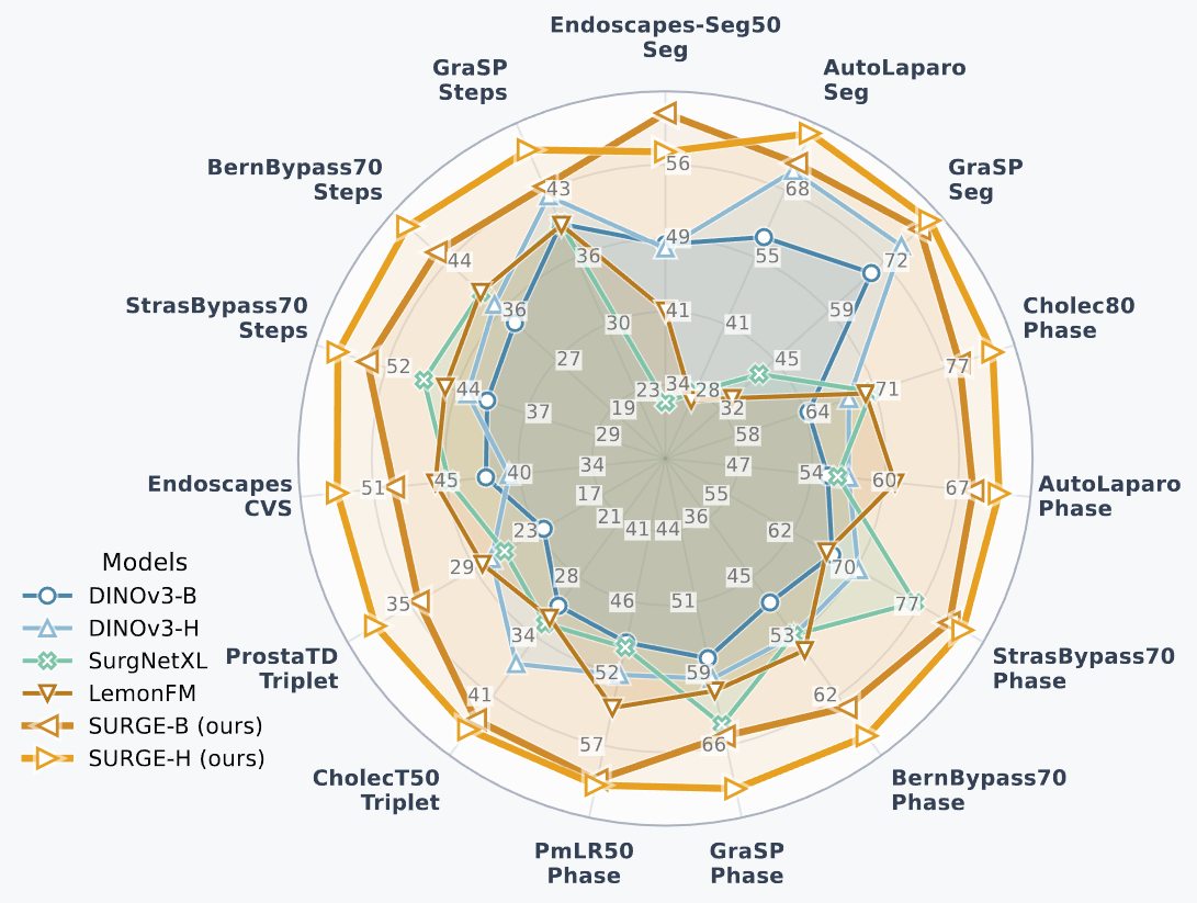 simulia-surgical-simulation Diagram