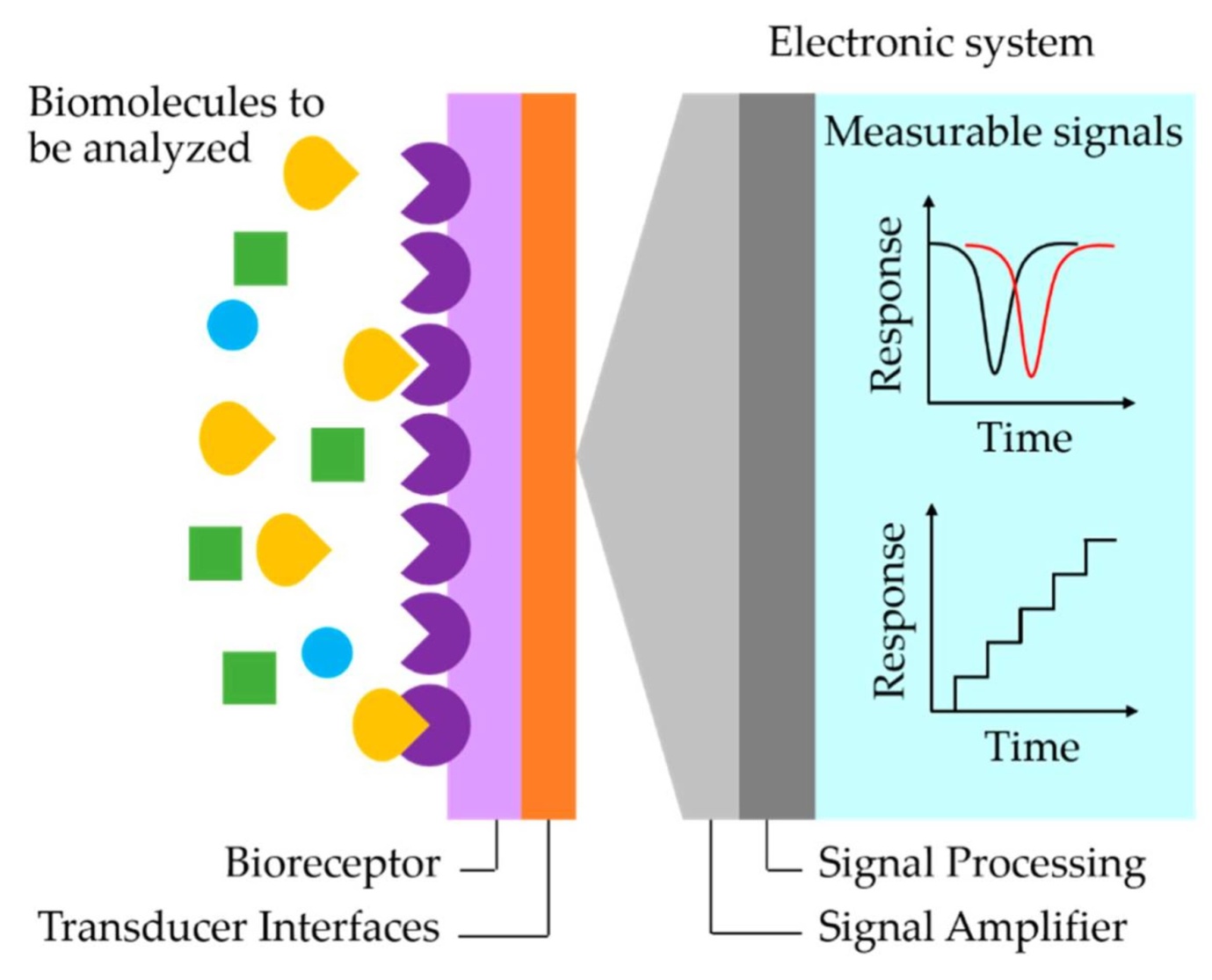 sweat-based-biosensor Diagram
