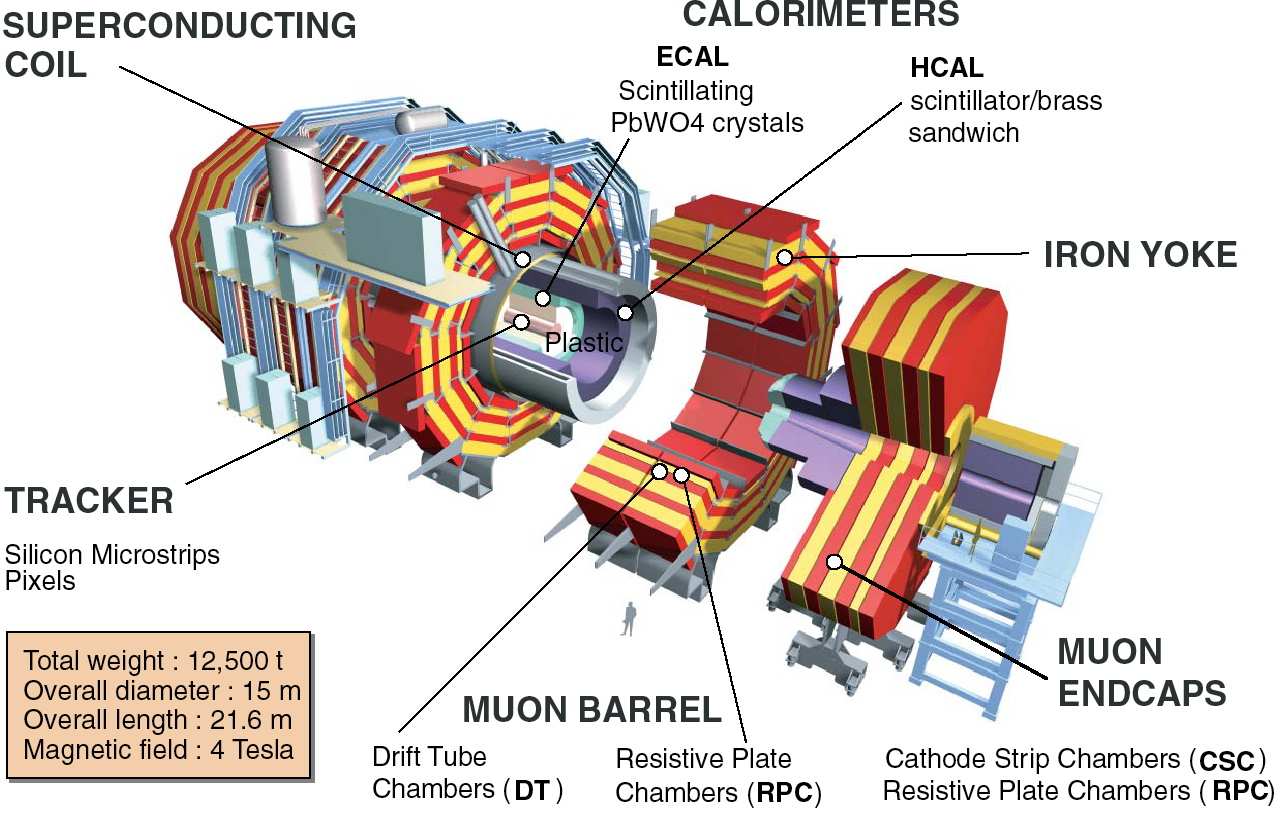 ventilator-trigger-sensing Diagram