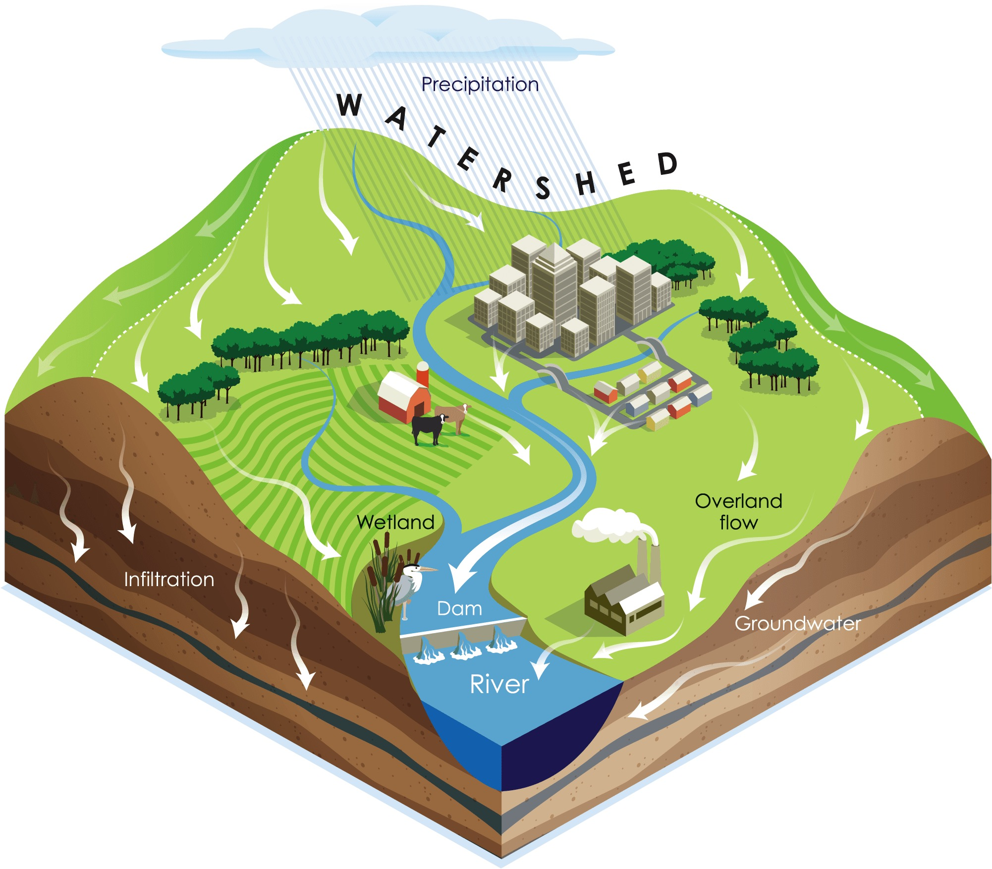 Figure 1: Structural Model, FEA Stress Distribution & Analysis Output for Watershed Pollution Assessment